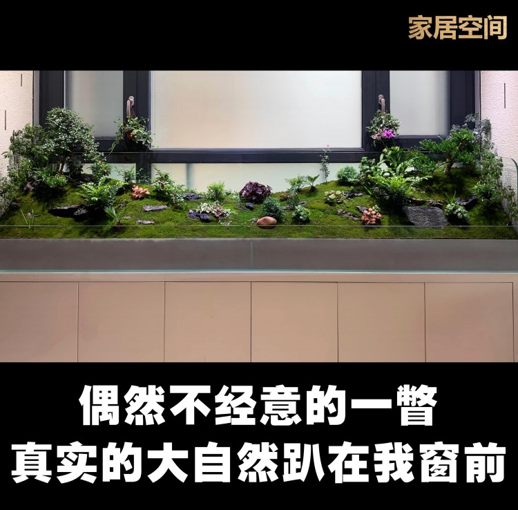 家具空间